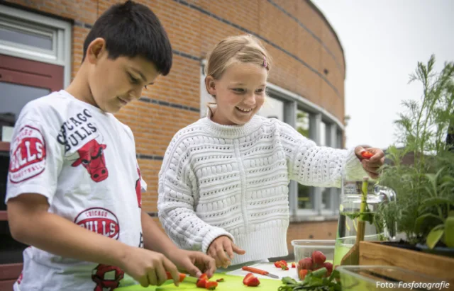 Foto: Fos Fotografie